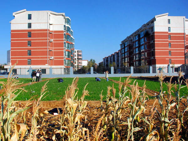 中国农业大学