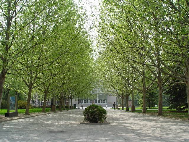 北京交通大学