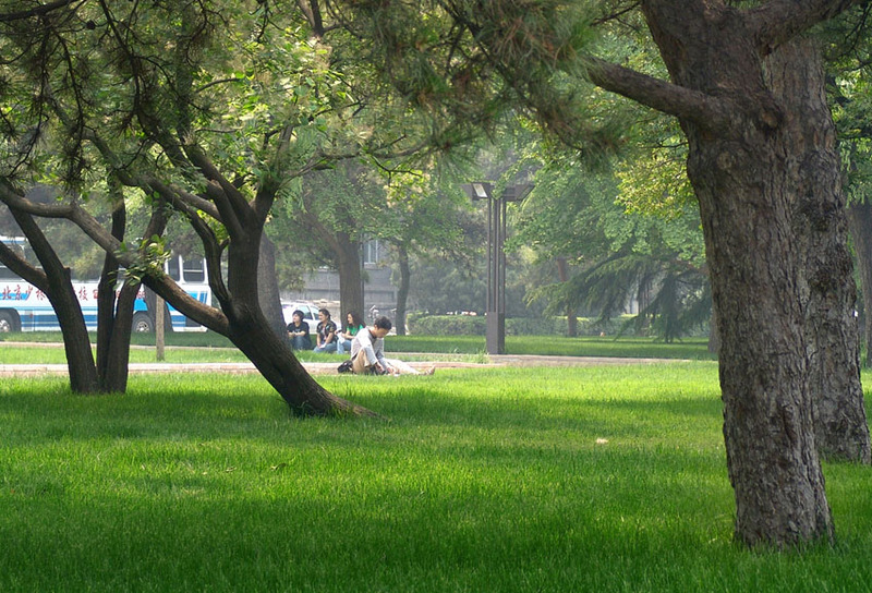 中央民族大学