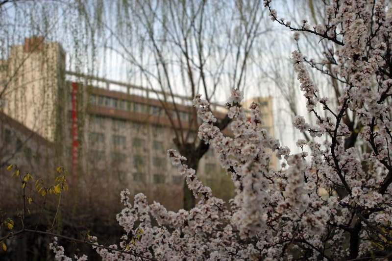 北京石油化工学院