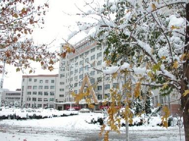 北京石油化工学院