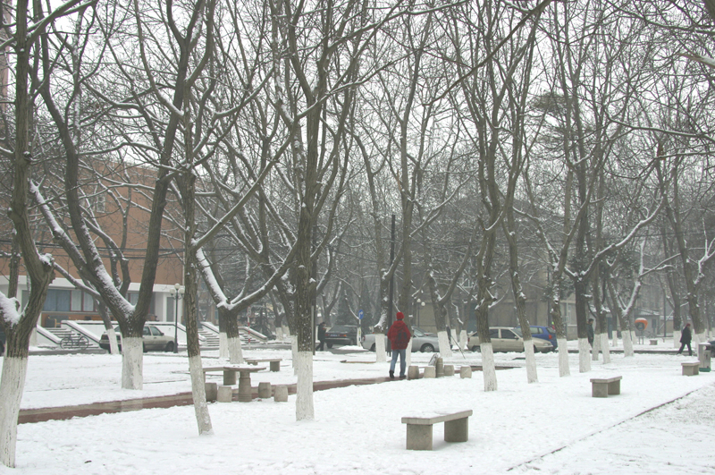 中国传媒大学