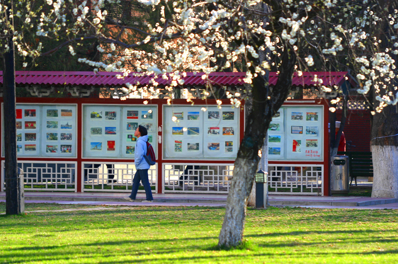 中国传媒大学