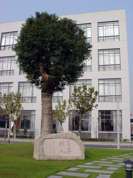 复旦大学