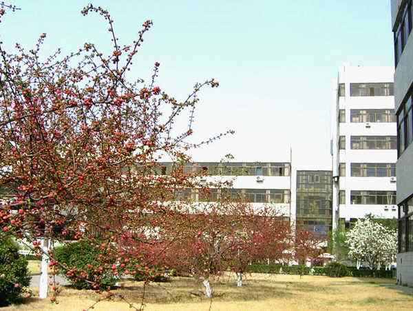 中国石油大学