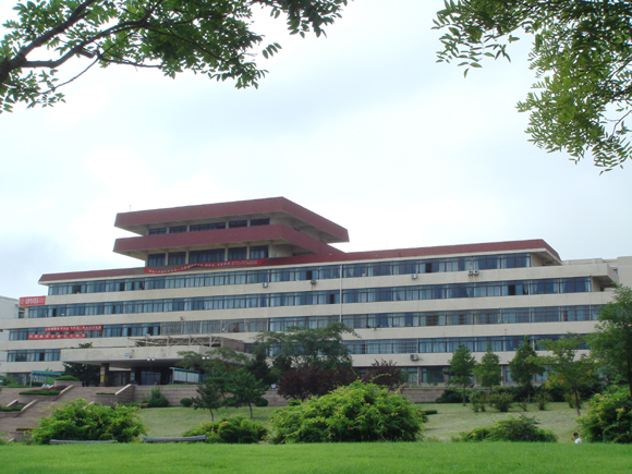 青岛大学