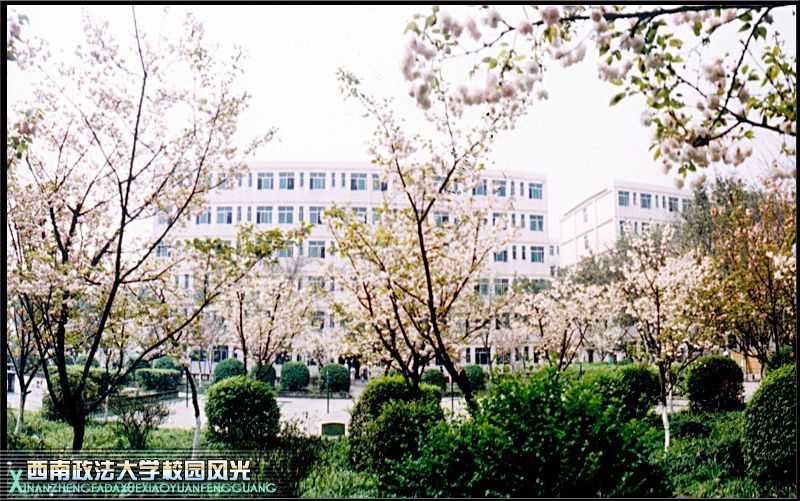 西南政法大学