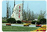 东华大学