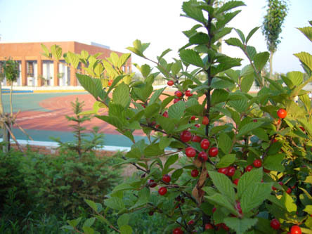 沈阳建筑大学