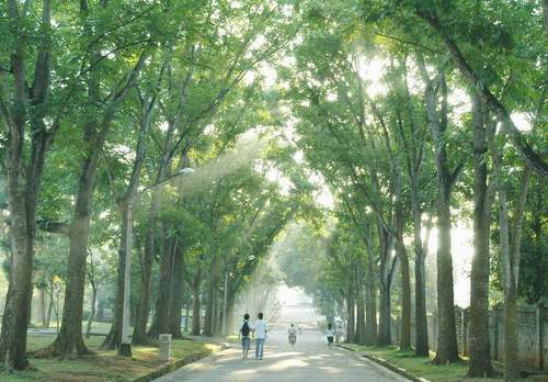 海南大学