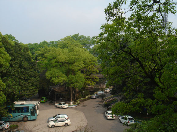 泸州医学院