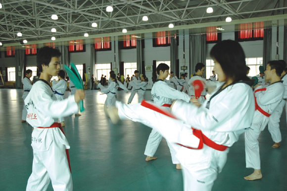 石家庄经济学院