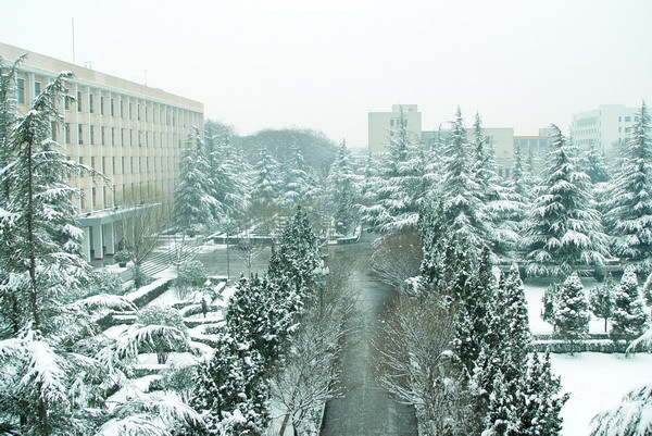 河南科技大学