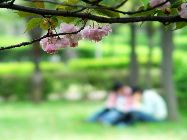 河南科技大学