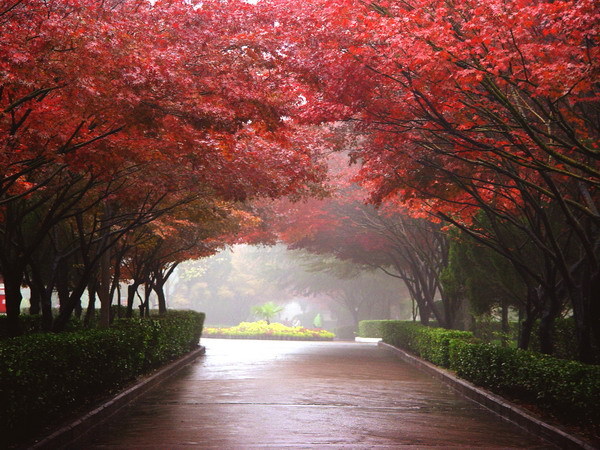 河南科技大学