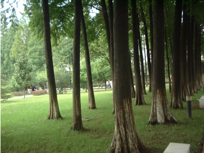 信阳师范学院