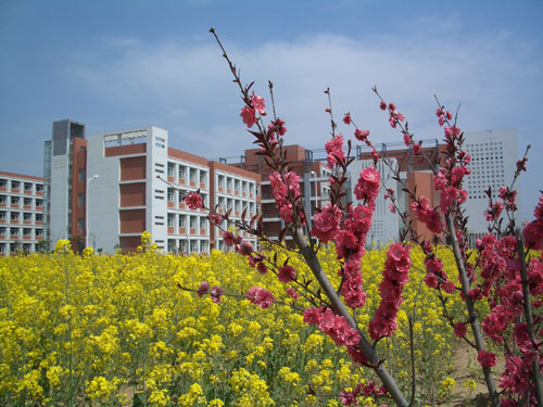 郑州航空工业管理学院