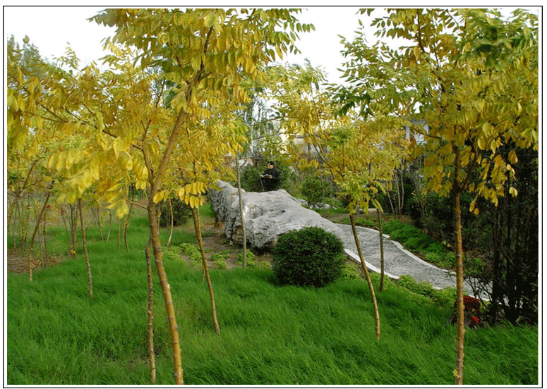 洛阳师范学院