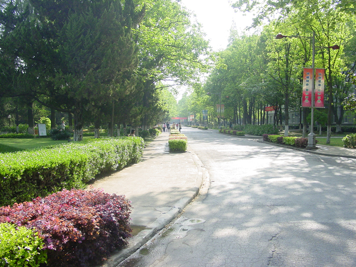 南京林业大学