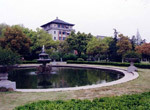 浙江大学