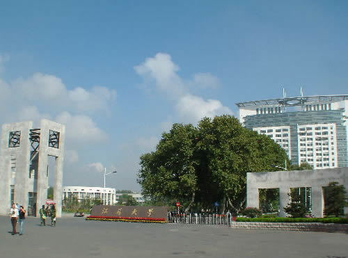 江苏大学