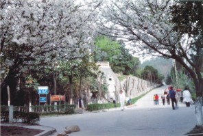 郧阳医学院