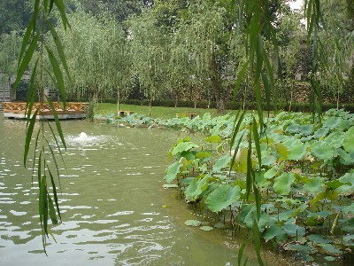 湖北美术学院