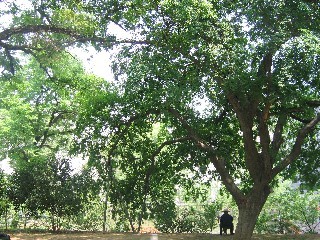 湖北美术学院