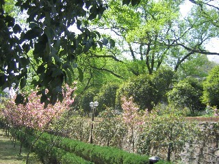 湖北美术学院