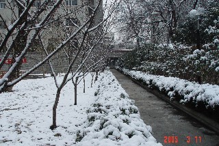 湖北美术学院