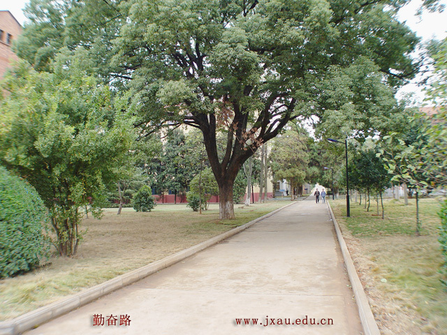 江西农业大学