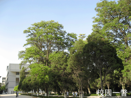 兰州大学