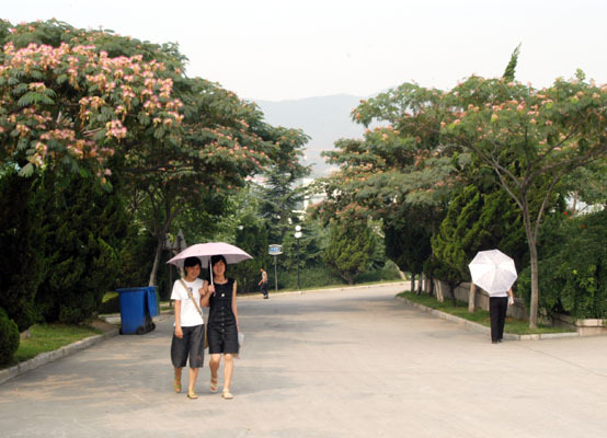 鲁东大学