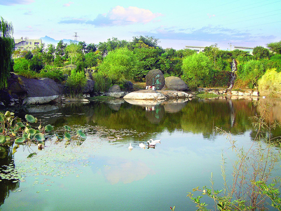 山东交通学院