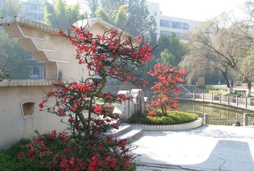 玉溪师范学院