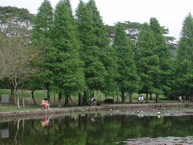 汕头大学