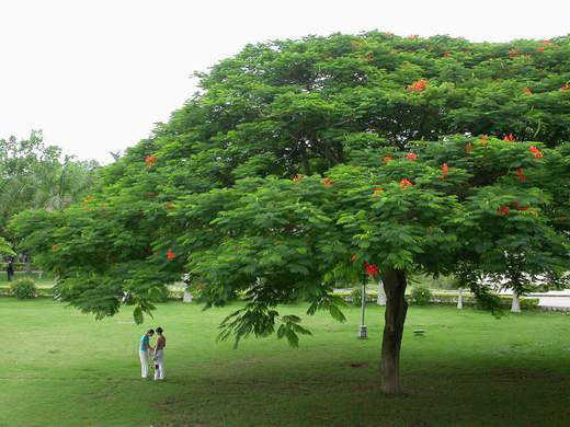 汕头大学