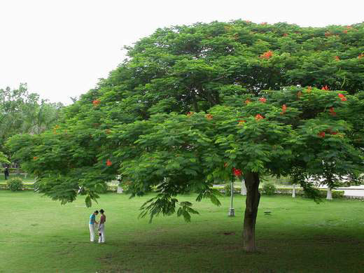 汕头大学