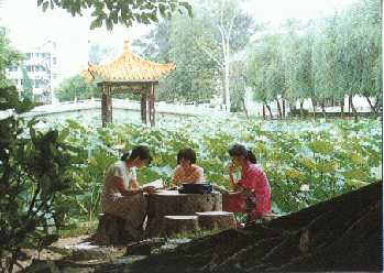 华南师范大学