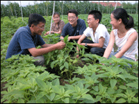 东北农业大学