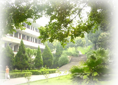 龙岩学院