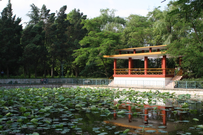 安顺学院