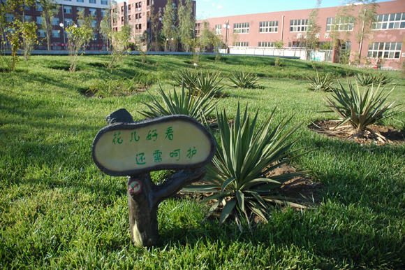 北京化工大学北方学院