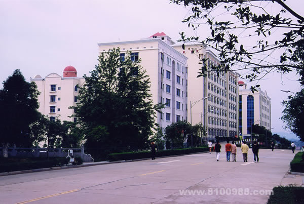 湖南涉外经济学院