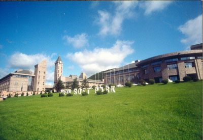 东北大学东软信息学院