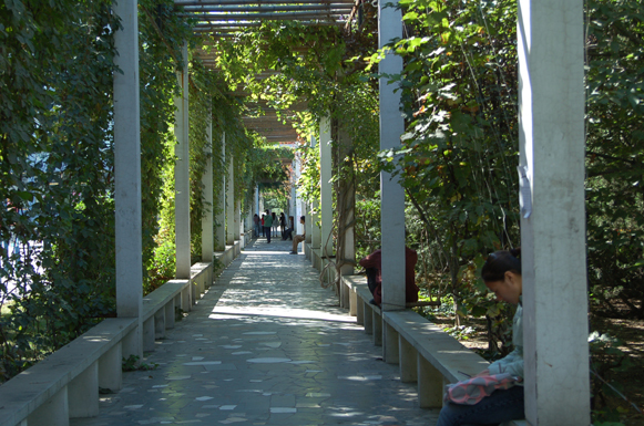 北京科技职业学院