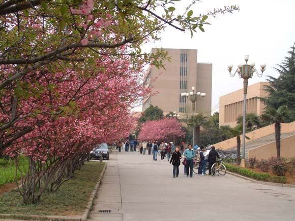 中国矿业大学徐海学院