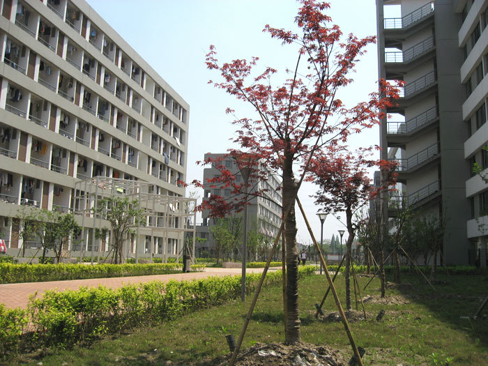 南京理工大学泰州科技学院