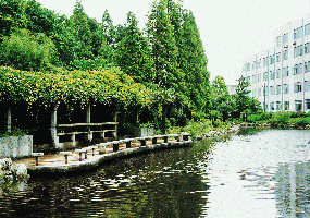 上海城市管理职业技术学院