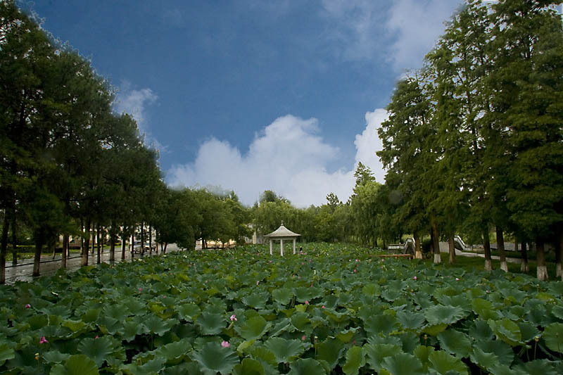 黄冈职业技术学院